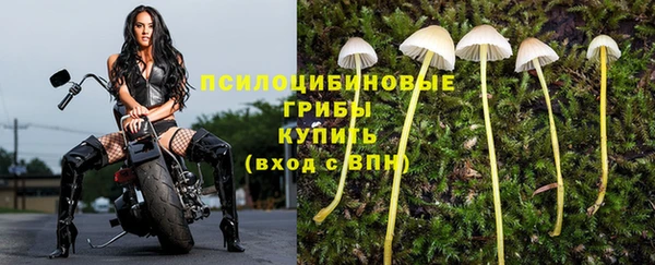крисы Бугульма