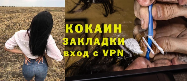 крисы Бугульма