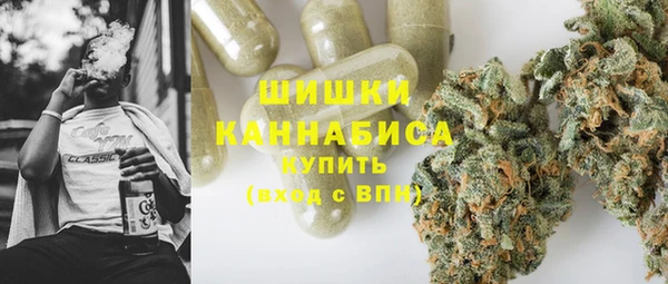 крисы Бугульма