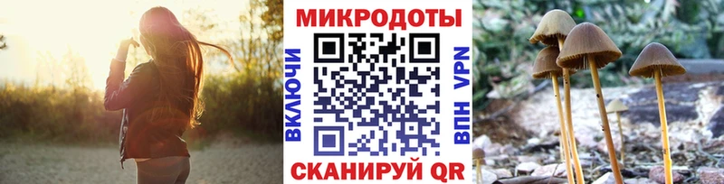 Псилоцибиновые грибы GOLDEN TEACHER  Кашира 